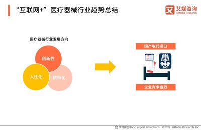2020-2021中国互联网医疗行业发展白皮书 医疗器械互联网信息服务探析